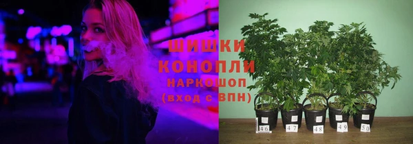 дурь Сафоново