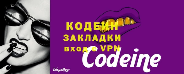 прущий лед Алзамай