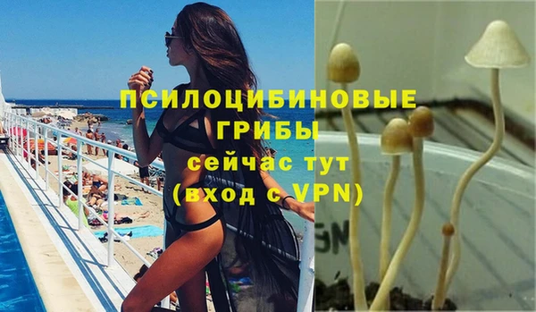 дживик Алексин