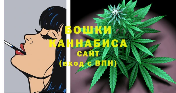 молекула духа Саяногорск