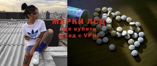прущий лед Алзамай