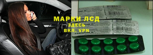 прущий лед Алзамай