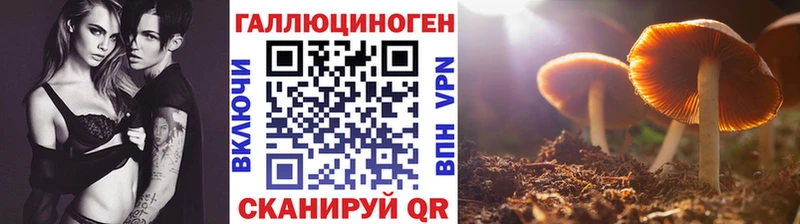 Псилоцибиновые грибы Magic Shrooms  Нефтекумск 
