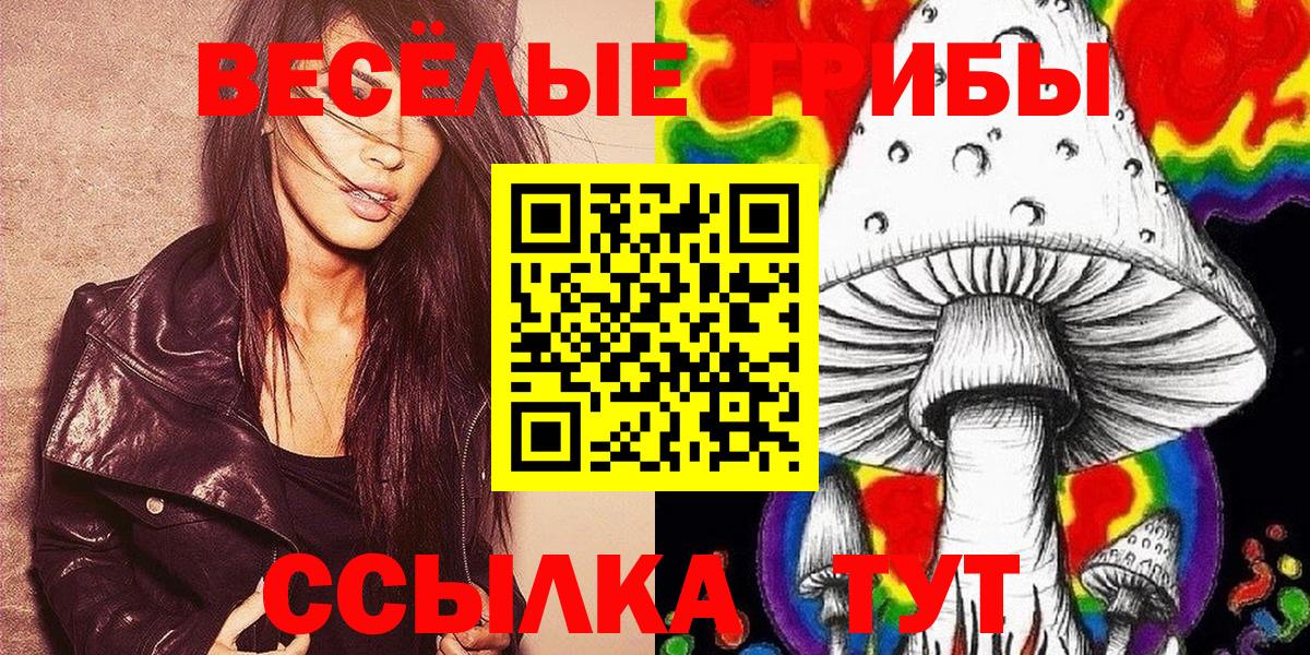Нефтекумск  Псилоцибиновые грибы Magic Shrooms  Псилоцибиновые грибы Psilocybine cubensis  Вход с VPN 
